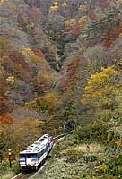 041107-5.jpg