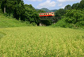 060827-06_thumb.jpg